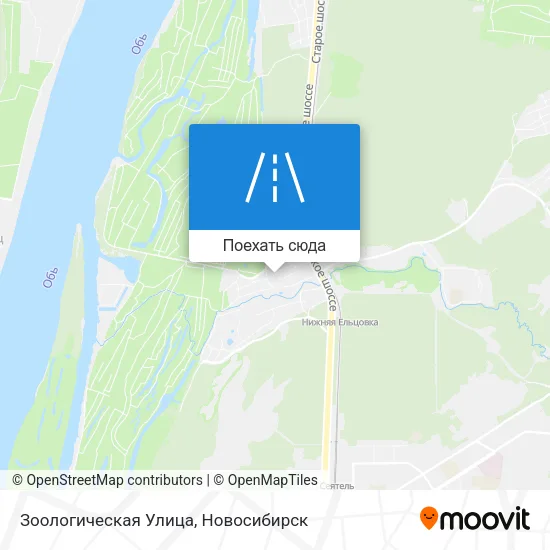 Карта Зоологическая Улица