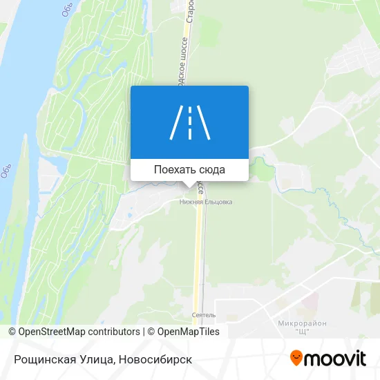 Карта Рощинская Улица