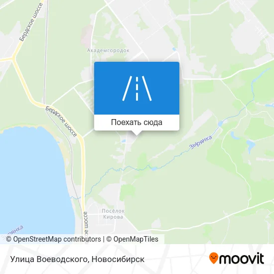Карта Улица Воеводского