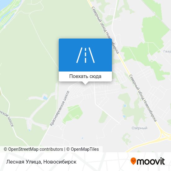 Карта Лесная Улица