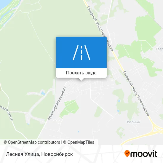 Карта Лесная Улица