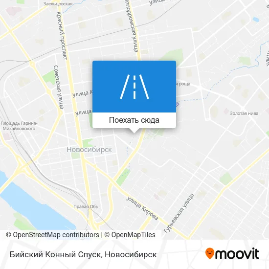 Карта Бийский Конный Спуск