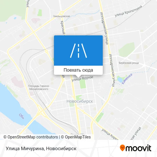 Карта Улица Мичурина