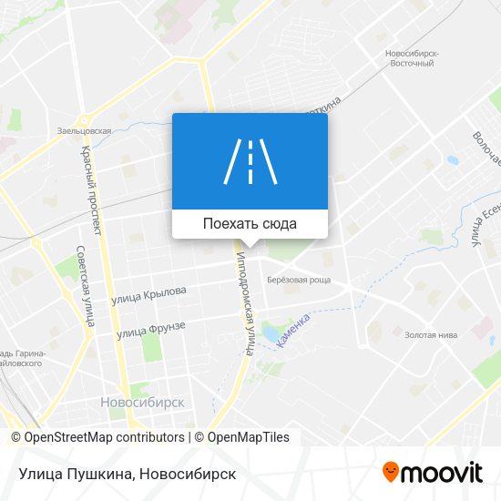 Карта Улица Пушкина