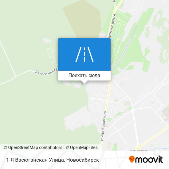 Карта 1-Я Васюганская Улица