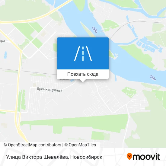Карта Улица Виктора Шевелёва