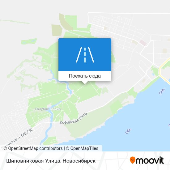 Карта Шиповниковая Улица