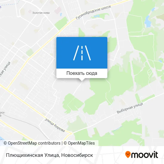 Карта Плющихинская Улица