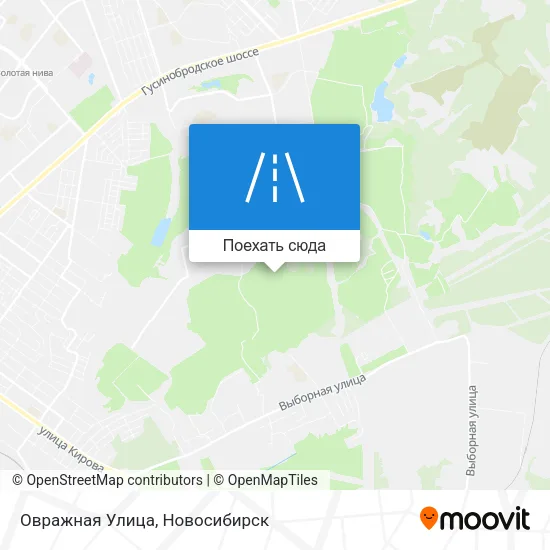Карта Овражная Улица
