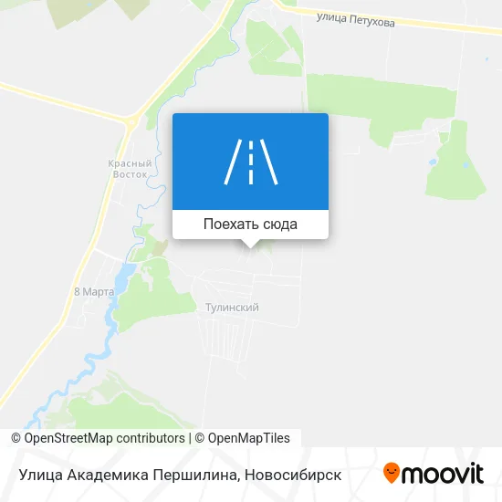 Карта Улица Академика Першилина