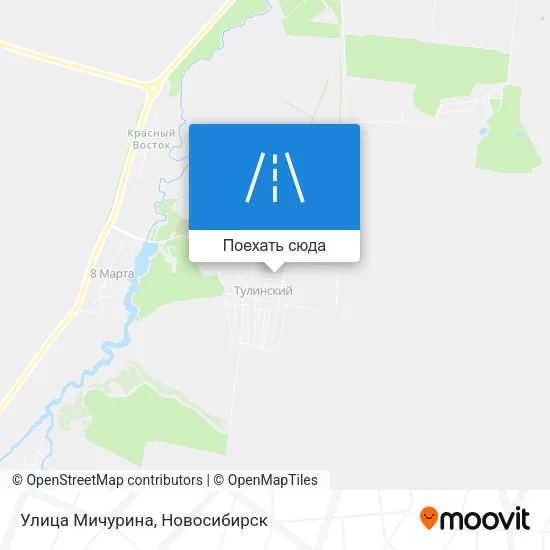 Карта Улица Мичурина