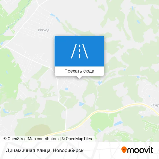 Карта Динамичная Улица