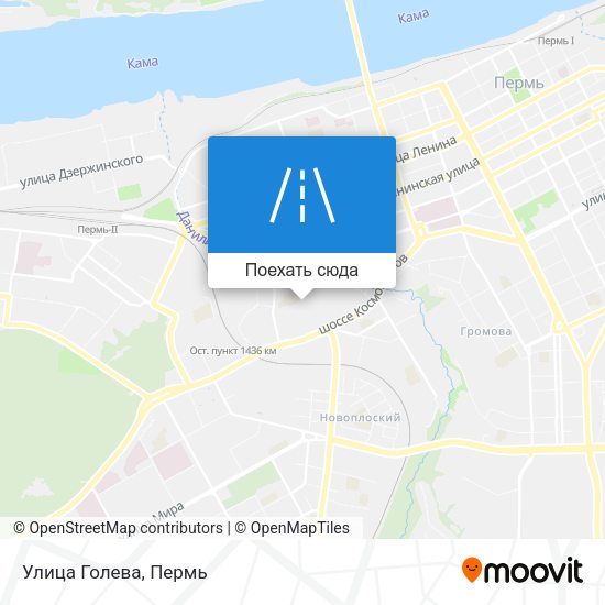 Карта Улица Голева
