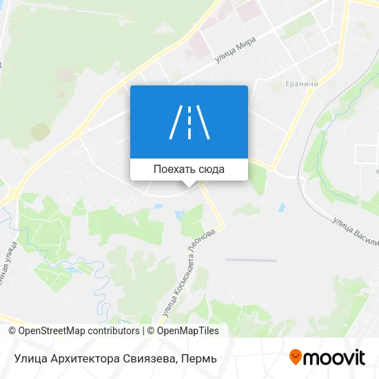 Карта Улица Архитектора Свиязева