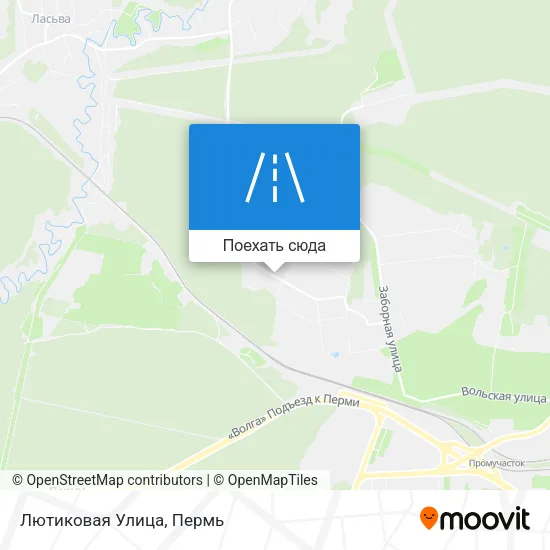 Карта Лютиковая Улица