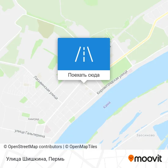 Карта Улица Шишкина