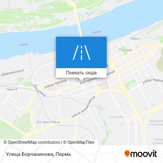 Карта Улица Борчанинова