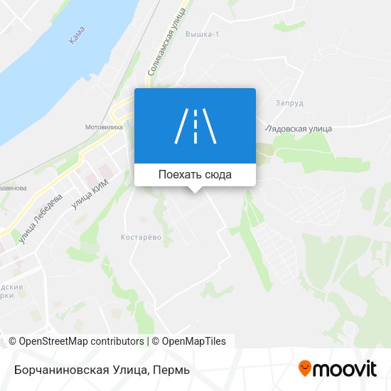 Карта Борчаниновская Улица