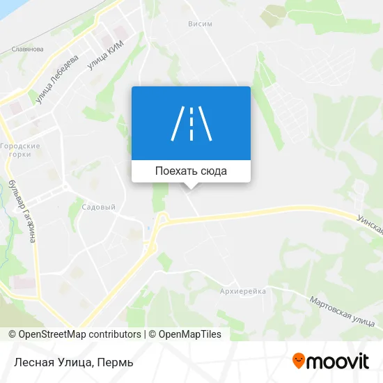 Карта Лесная Улица