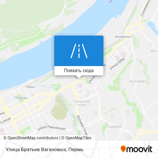 Карта Улица Братьев Вагановых
