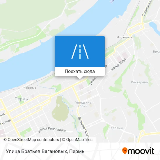 Карта Улица Братьев Вагановых
