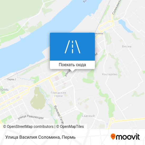 Карта Улица Василия Соломина
