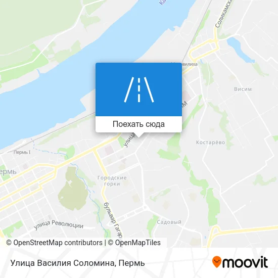 Карта Улица Василия Соломина