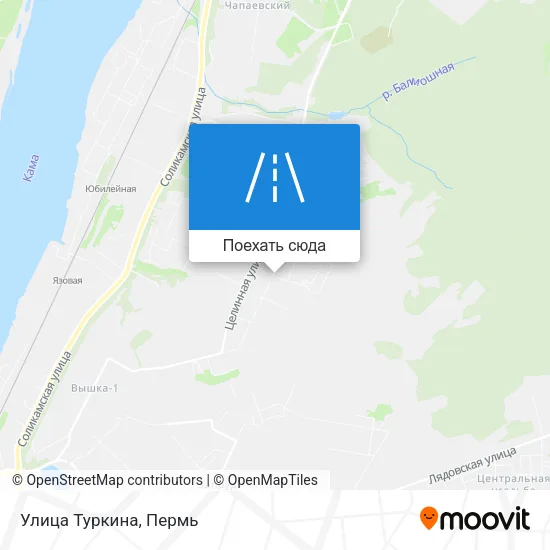 Карта Улица Туркина