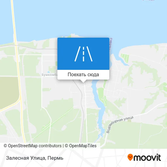 Карта Залесная Улица