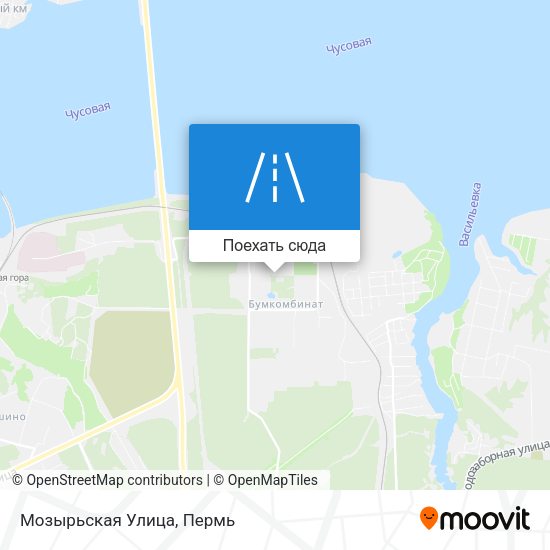 Карта Мозырьская Улица