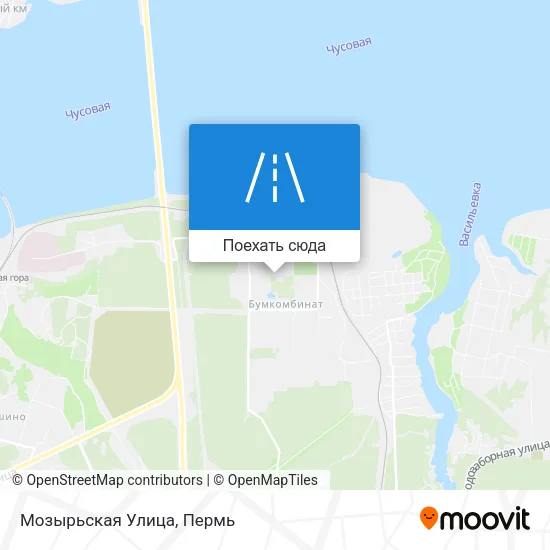 Карта Мозырьская Улица