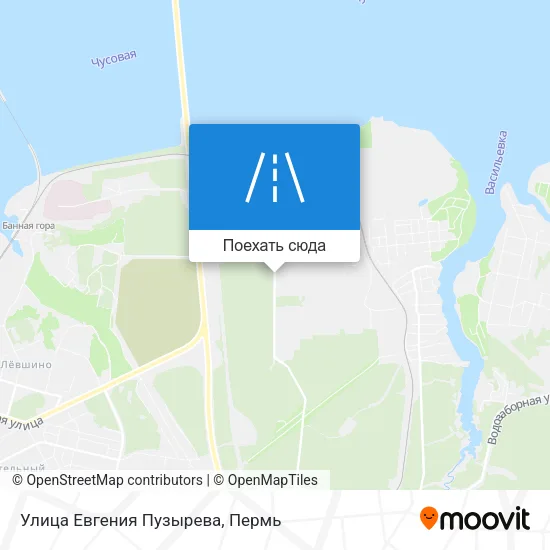 Карта Улица Евгения Пузырева