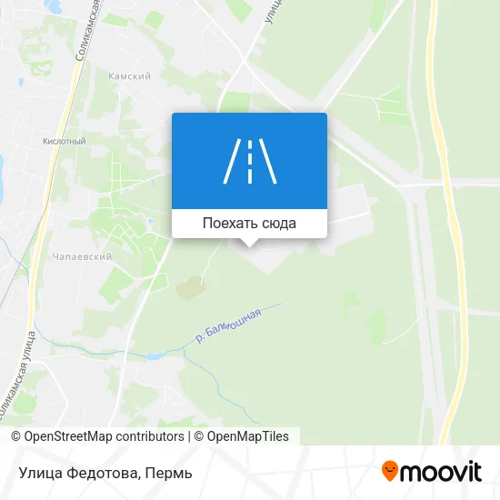 Карта Улица Федотова