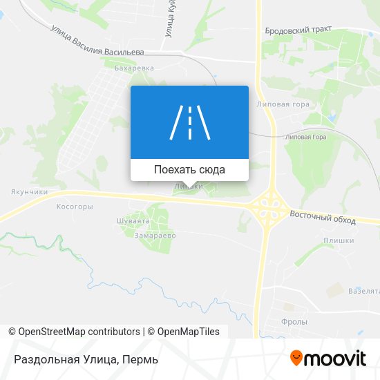 Карта Раздольная Улица