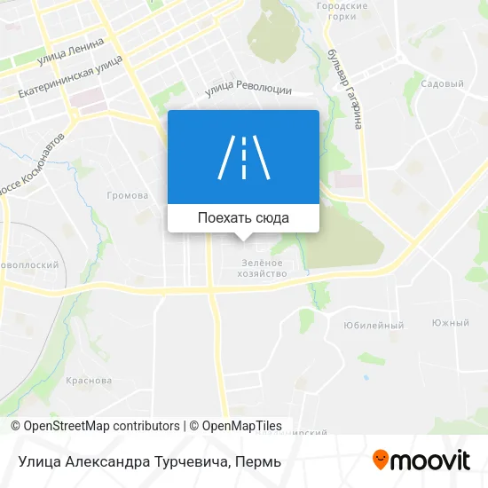 Карта Улица Александра Турчевича