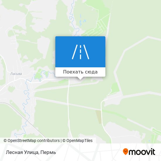 Карта Лесная Улица
