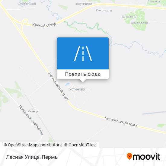 Карта Лесная Улица