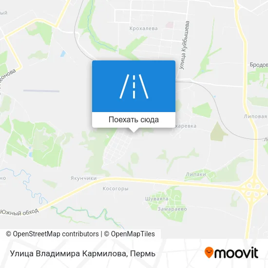 Карта Улица Владимира Кармилова