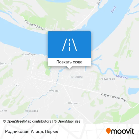 Карта Родниковая Улица