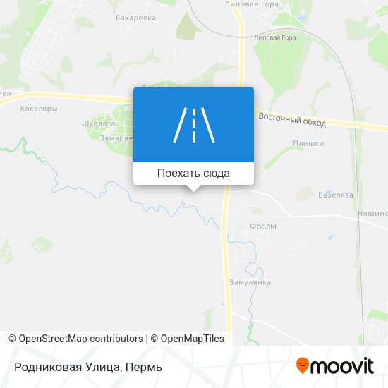 Карта Родниковая Улица