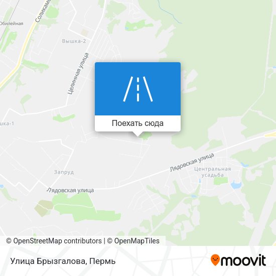 Карта Улица Брызгалова