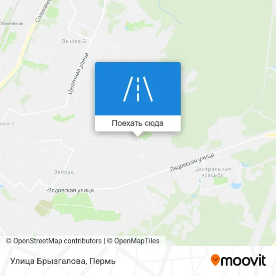 Карта Улица Брызгалова
