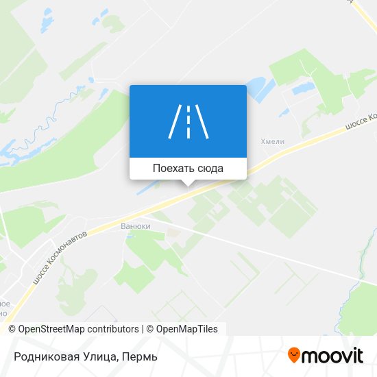 Карта Родниковая Улица