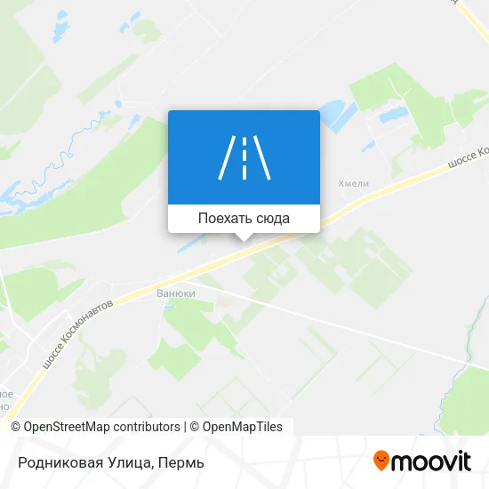 Карта Родниковая Улица