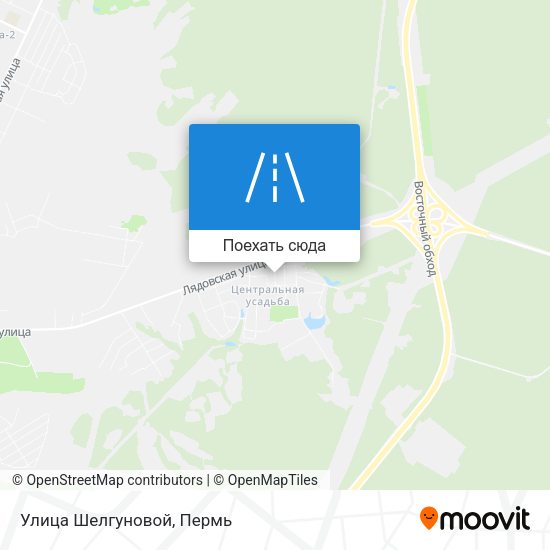 Карта Улица Шелгуновой