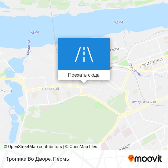 Карта Тропика Во Дворе