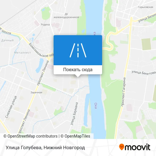 Карта Улица Голубева