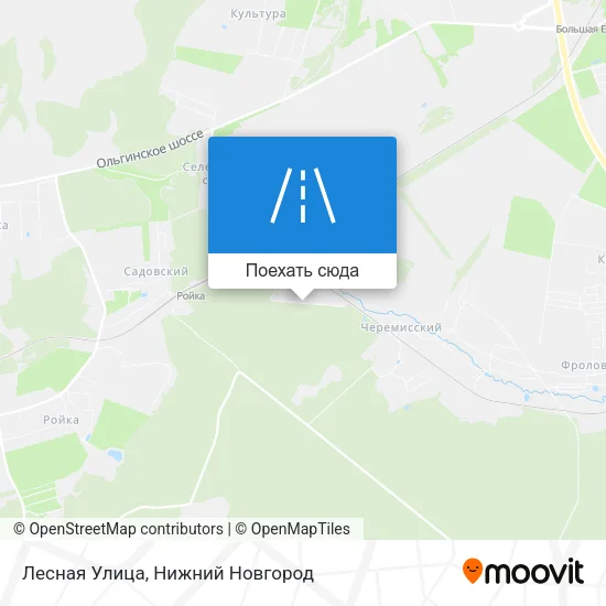 Карта Лесная Улица
