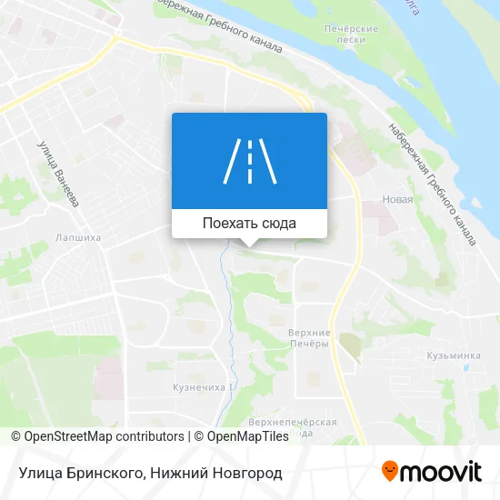 Карта Улица Бринского