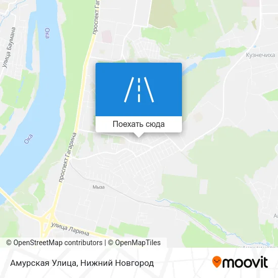 Карта Амурская Улица